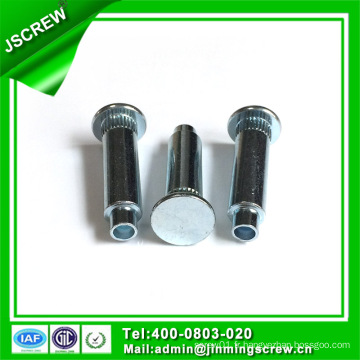 Client d&#39;acier inoxydable Hollow Rivet